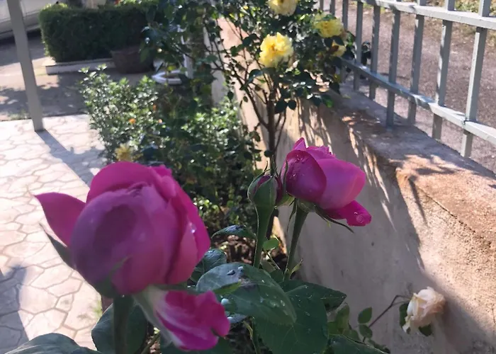 Apartamento George House Psari *